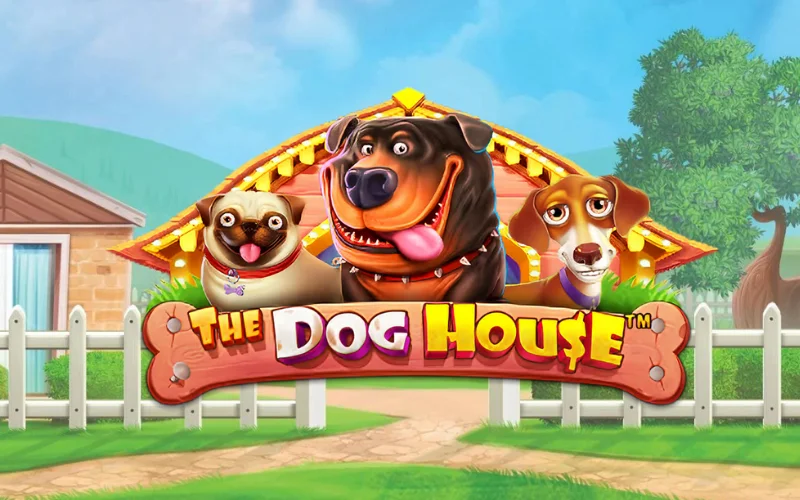 El legendario juego The Dog House siempre está abierto para apostar en el sitio web 1Win.